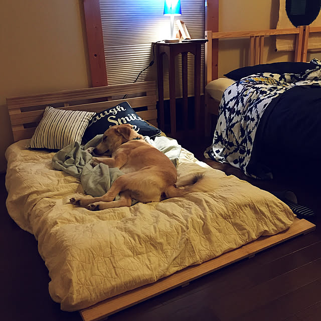 藍染タペストリー,すのこベッド,デシグアル,いぬと暮らす,犬と暮らす家,間接照明✨,IKEA,Bedroom mm319の部屋