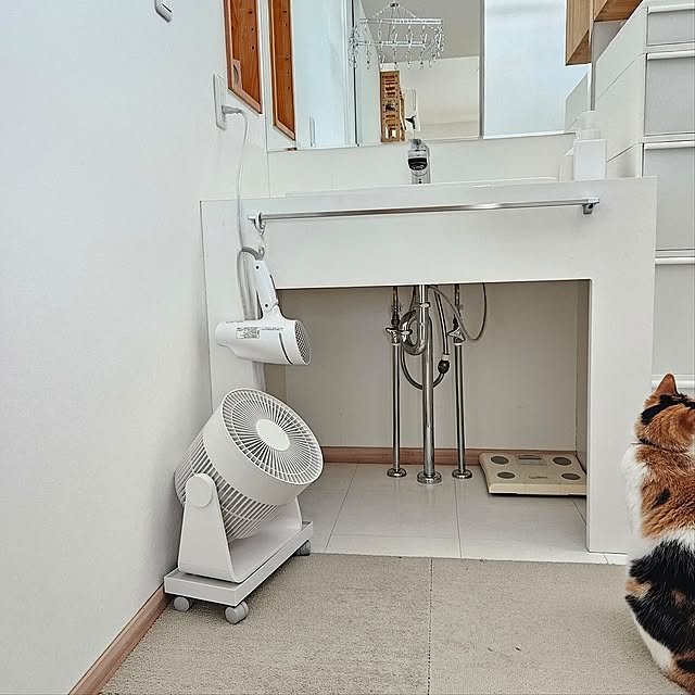 Bathroom,扇風機・サーキュレーター,平屋,平屋暮らし,保護猫,猫と暮らす,猫と暮らす家,ねこと暮らす,小さな平屋,猫好き♡,2人と3匹暮らし,無印良品 koyurizuの部屋