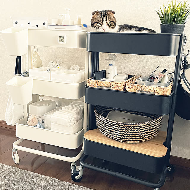 insta→tansuke0323,ワゴン収納,ロースコグ,IKEA,ニトリ,モノトーン,RÅSKOG,猫と暮らす,バスケットかご,ねこと暮らす,赤ちゃんのいる暮らし,My Shelf tansukeの部屋