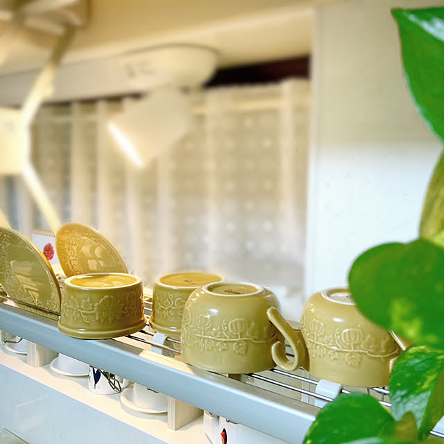 観葉植物,オーデリックスポットライト,昇降式水切り棚,イベント参加,お皿,プレート,ココット,スープマグカップ,セリアのシリーズ食器,マグカップ,参道沿いに建つ家,昭和の家,築36年,東西に長い家,Kitchen mommyの部屋