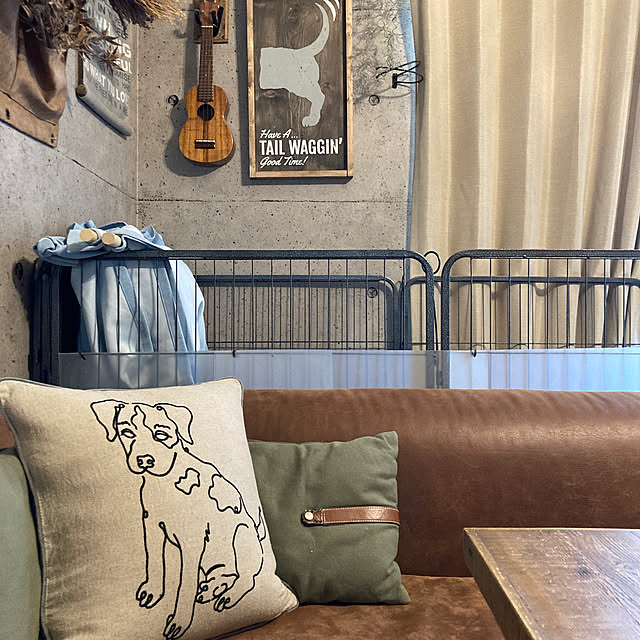 Lounge,クッションカバー,ニトリ,見せる収納に憧れる,いいね&フォローありがとうございます☆,☆コンクリートジャングル化計画☆,Instagram→kenko1126,ビーグル,犬と暮らす家 onokenkoの部屋