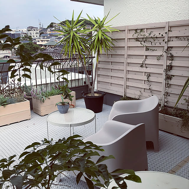 マンションリノベーション,犬もいます,ねこと暮らす。,メゾネットマンション,ルーフバルコニー,Entrance lalaの部屋