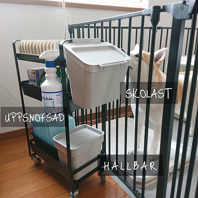 ペットと暮らすインテリア,暮らしの投稿,シンプルな暮らし,COLLEND,ワゴン収納,IKEA,ペットサークル,犬と暮らす,コレンドのストレージワゴン,おうちのことノート,シンデレラフィット Mi-koの部屋