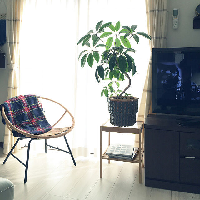 Lounge,ラタンチェア,サイドテーブル,IKEA,NESNA,イケア75,観葉植物 akinonoruruの部屋