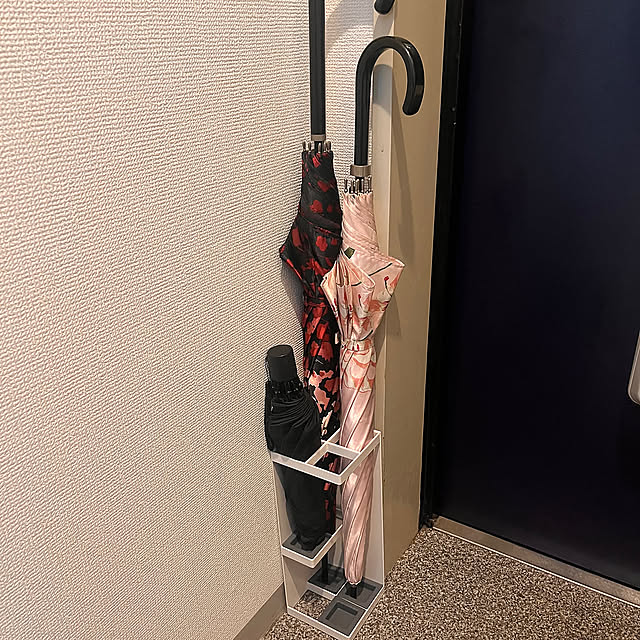 Entrance,山﨑実業Plate,山﨑実業smart,傘立て,スリッパ収納,同棲,2LDK 賃貸 ri.yaの部屋