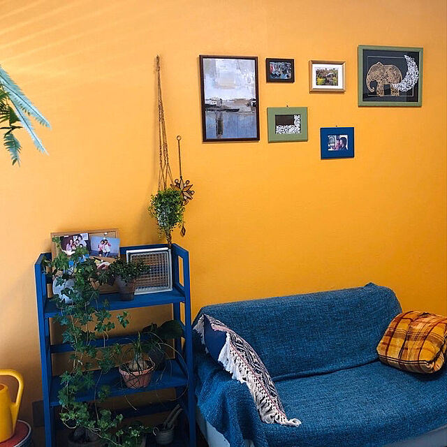 山吹色,アクセントクロス,観葉植物,雑貨,癒し,築年数45年越え,壁,ぺんき塗り,木製家具,Overview,yellow,YES⭐︎,やるまでドキドキ yukkuiの部屋