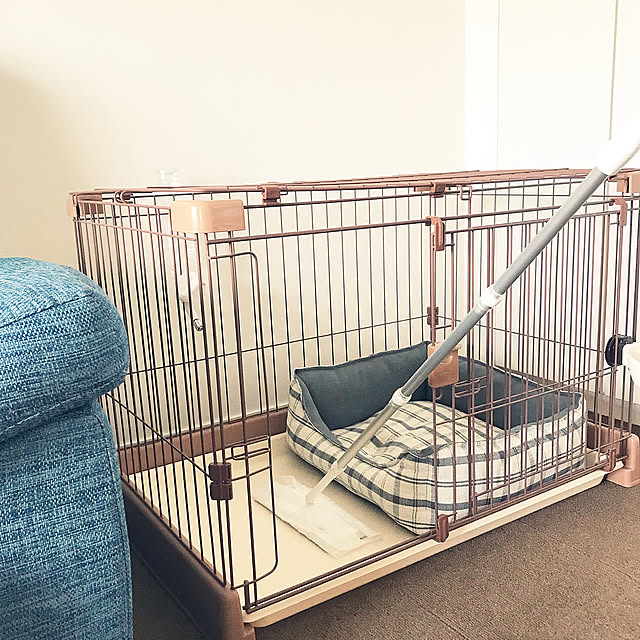 犬のいる生活,モニター⑥,ついで掃除,クイックルしやすいお部屋,掃除しやすい家,クイックル,クイックルワイパー,stay home,いいね、フォロー本当に感謝です♡,いいねと、フォローの押し逃げすみません！,穏やかな日常が戻りますように,On Walls a-chanの部屋