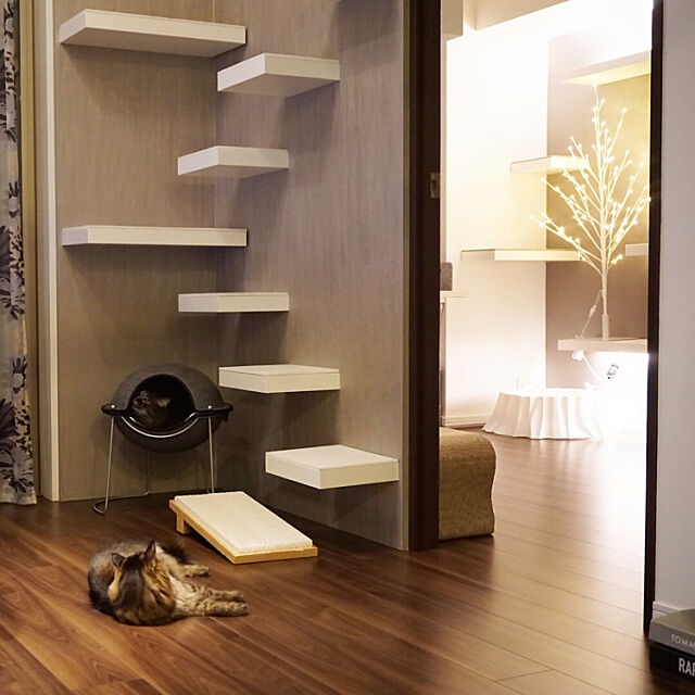 猫好き向け キャットウォーク ステップの手作り作品集 Roomclip Mag 暮らしとインテリアのwebマガジン