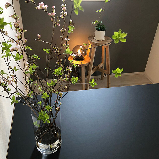観葉植物,一人暮らし,照明,モノトーン,My Desk color198512の部屋