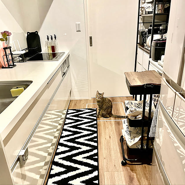 キッチンマット ベイク,RoomClipショッピング,キッチンラック,ゼロキューブ,tower,棚 DIY,ねこのいる日常,ねこと暮らす。,おうち見直しキャンペーン,RoomClip運営チームの皆様に感謝♡,イケヒコ・コーポレーション,イケヒコ キッチンマット,Kitchen jijicoの部屋