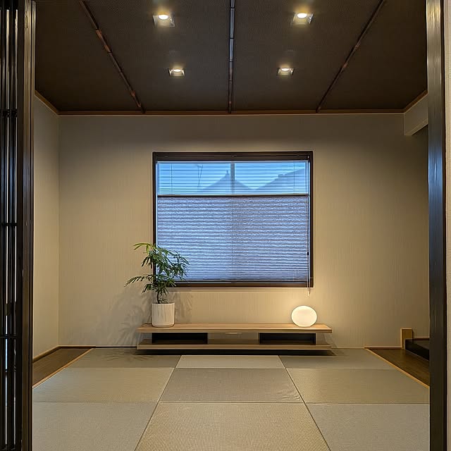 Overview,和室,和室のインテリア,和室ローボード,観葉植物,エバーフレッシュ,シラタマ,間接照明 kumijiの部屋