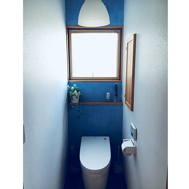 Bathroom,カインズの芳香剤がナイスなデザイン,サボテン,TOTOトイレ,漆喰壁DIY,IKEA,観葉植物 tatsuyaの部屋