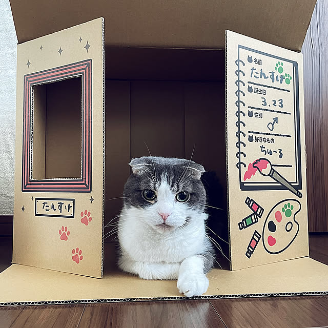 Bathroom,インテリア,猫トイレ,ねこのいる日常,ねこと暮らす,insta→tansuke0323,ニャンとも tansukeの部屋