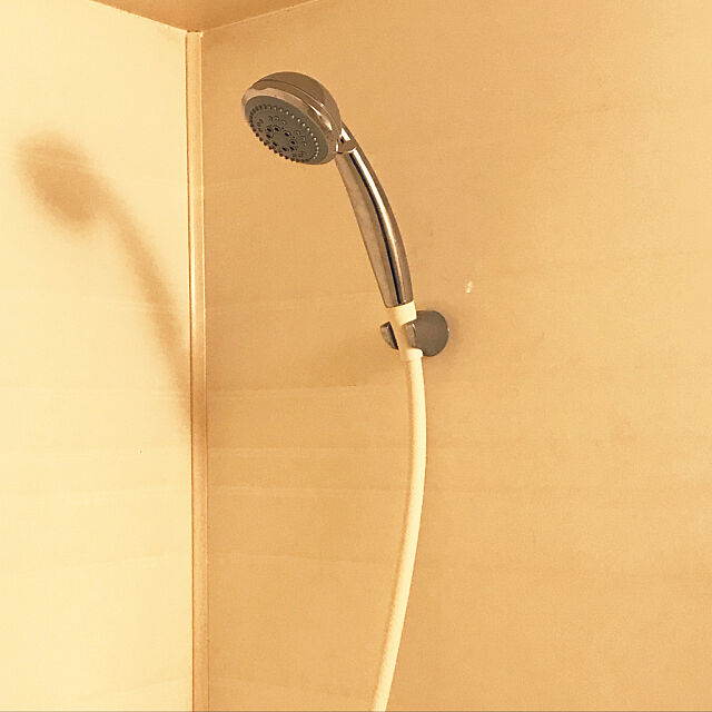 Bathroom,節水型,シャワーヘッド,アパートの大家です,リフォーム masakoの部屋