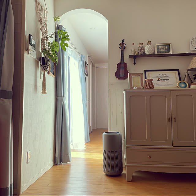 IKEA,植物のある暮らし,モンステラ,空気洗浄機,ハワイアン,ヤシの木,アンティーク,アメリカン,ロンハーマン,cado,cado カドー,cado オンライン,Lounge Alohaの部屋
