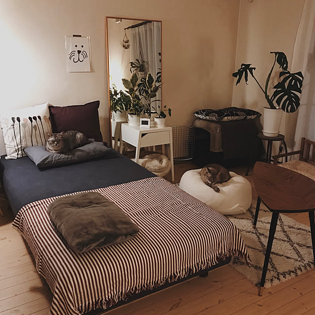 Overview,IKEA,1R,ワンルーム,1R 一人暮らし,ねこのいる日常,ねこと暮らす。,猫と暮らすインテリア,夜の部屋,間接照明,観葉植物,グリーンのある暮らし,猫部,ねこ,無印良品,一人暮らし,賃貸,観葉植物のある部屋,シンプルインテリア,イケア ineko_kの部屋