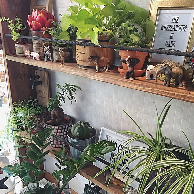 My Shelf,動物,シュライヒ,カフェ風,植物のある暮らし,DIY,棚DIY,NO GREEN NO LIFE,カフェスタイル,夢の大人買い✨,見えてないけどまだあるょ ANNAの部屋