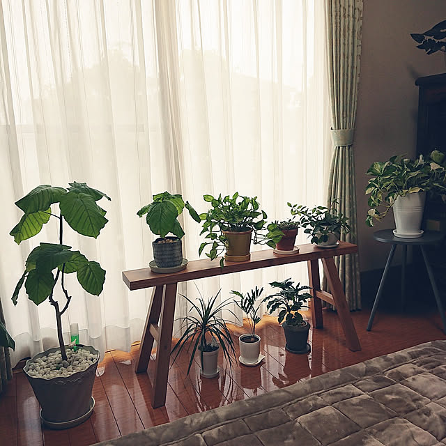 Lounge,無言いいね＆フォローお許しください♡,いいね！ありがとうございます♪,観葉植物のある暮らし,無印ベンチ,雨 ayaの部屋
