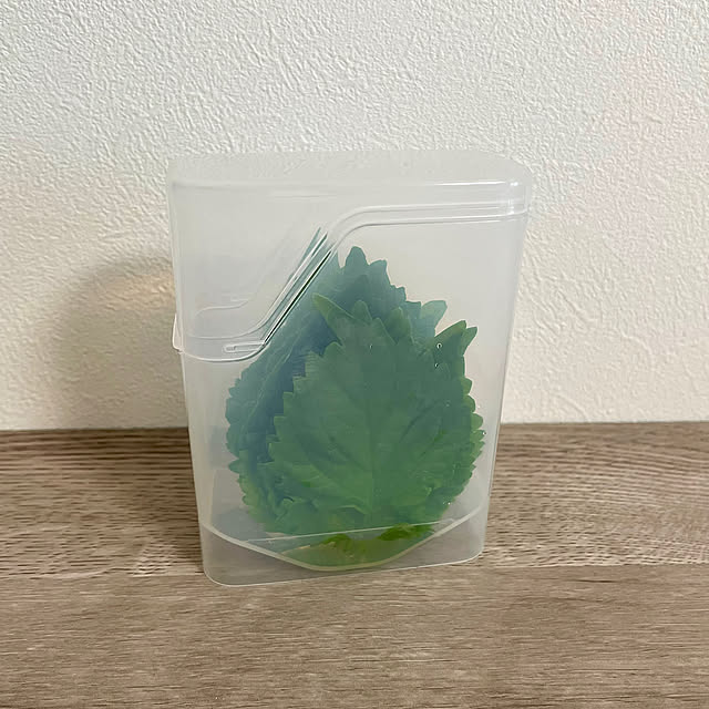 Kitchen,便利アイテム,大葉保存容器,保存容器,大葉栽培,しその葉,しそ栽培,大葉収穫,100均,セリア mi39の部屋