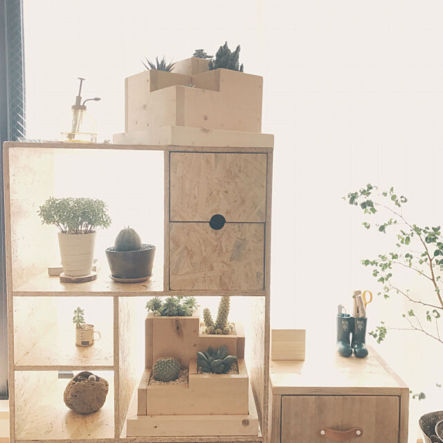 My Shelf,グリーンラック,OSB合板,観葉植物,手作り,多肉植物,グリーンのある暮らし,DIY,男前,ハンドメイド jpの部屋