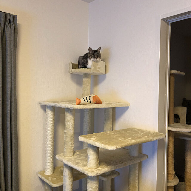 キャットタワー,猫スペース,猫と暮らす,猫がいる生活,Lounge mugiの部屋
