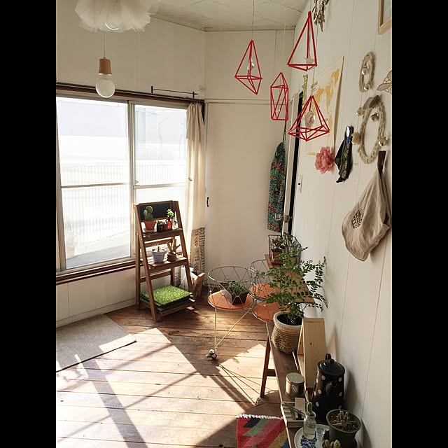 Overview,照明,植物,雑貨,100均,DIY,多肉植物,ニトリ moguの部屋