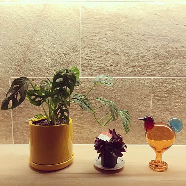 Entrance,Iittala,北欧インテリア,ヘーベルハウス,照明,北欧ヴィンテージ,オイバトイッカ,名古屋タイル,観葉植物,モンステラ,SCOPE Yukikoの部屋