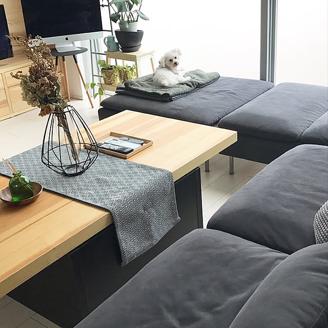 Lounge,観葉植物,無印良品,IKEA,北欧,ドライフラワー r1tty22の部屋