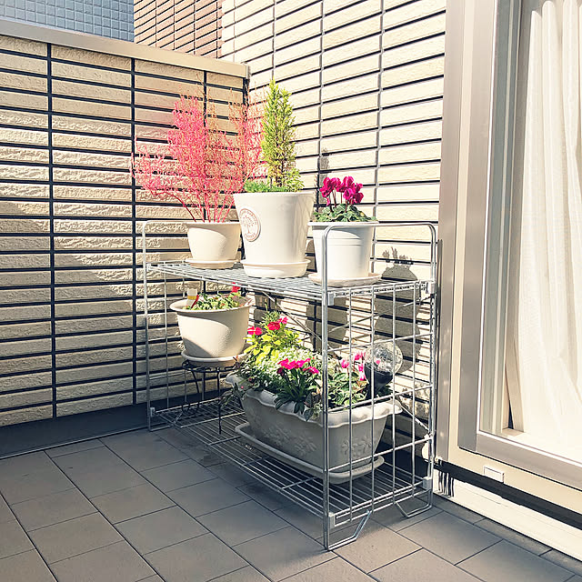 ガーデンシェルフ,一軒家,30坪以下,ミサワホーム,ガーデニング,キャッツテール,バルコニーガーデン,バルコニー mikasa34の部屋