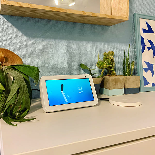 ペイント壁,サボテン,ワイヤレス充電器,Echo Show5,エコーショー5,家電,偏愛家電,My Shelf blueberryの部屋