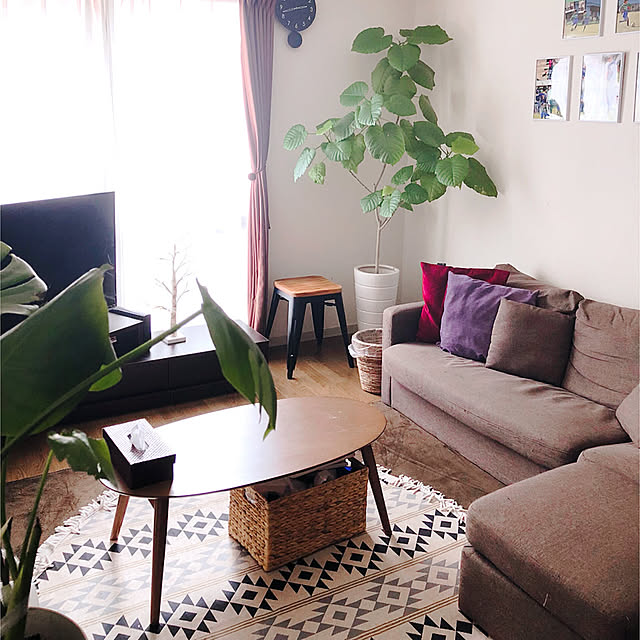 Lounge,ソファー,観葉植物,インテリア,2DK,アパートでも諦めない,狭い家,古いアパート,リビング,賃貸,2DKアパート,カインズ,ニトリ,プチプラ necomaru.comの部屋