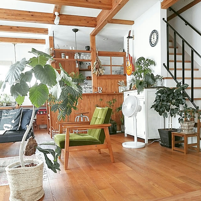 Lounge,暑さ対策,扇風機,無印良品,アズコンストラクション,無垢材の床,漆喰壁DIY,メンズナチュラル,ビターナチュラル,ギターナチュラル,カフェ風,アンティーク,観葉植物,着生植物,塊根植物,水耕栽培,ドライフラワー,COFFEE LOVER,珈琲のあるあたたかい暮らし,ボタニカルカフェスタイル bibi.karuの部屋