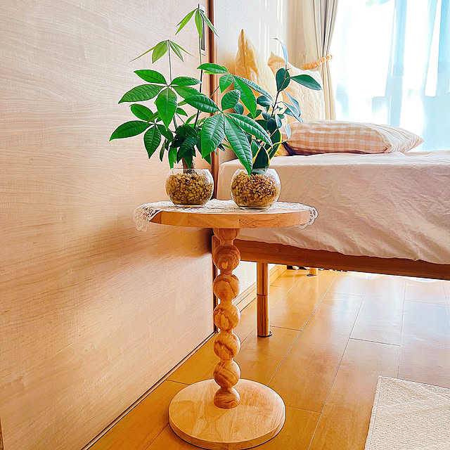 Lounge,インテリア,楽天で買ったもの,観葉植物のある生活,観葉植物のある暮らし,観葉植物,2025年,ナチュラル,一人暮らし,ナチュラルインテリア,インテリア雑貨,癒し pankumaの部屋