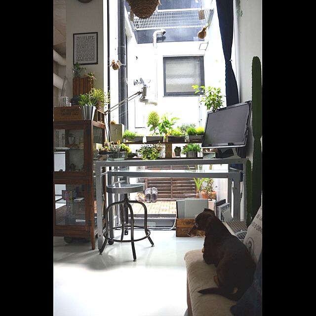 My Desk,Dog,地下室,賃貸,DIY,green,一人暮らし 003の部屋