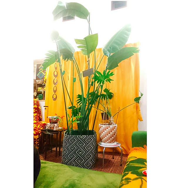 Lounge,RCの皆さんに癒されてます♪,癒し,オーガスタ,DIY,鉢カバー tomotomoの部屋