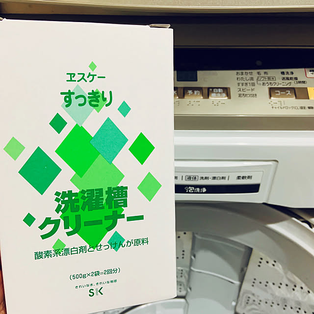 洗濯機掃除,洗濯機,洗濯槽クリーナー,大掃除,Bathroom pe2の部屋