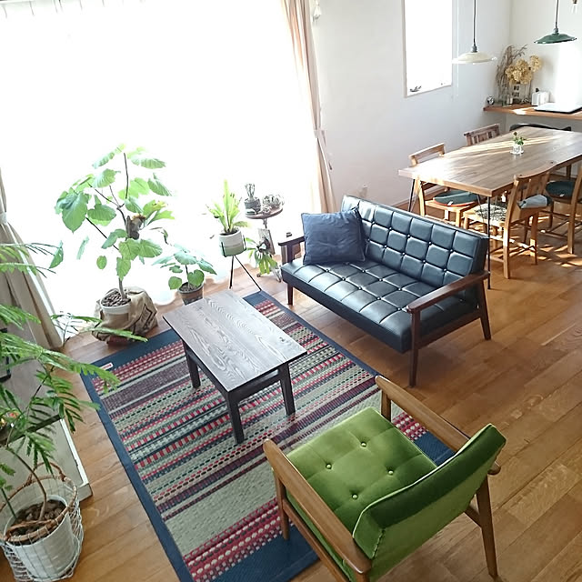 Lounge,イケヒコ,い草ラグ,アズコンストラクション,無垢材の床,メンズナチュラル,ビターナチュラル,カフェ風,アンティーク,観葉植物,着生植物,塊根植物,ドライフラワー,COFFEE LOVER,珈琲のあるあたたかい暮らし,漆喰壁DIY,ボタニカルカフェスタイル bibi.karuの部屋