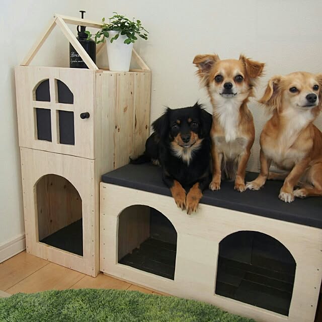 Bedroom,愛犬,チワックス,コンテスト初参加です♪♫,木箱を使ったD.I.Y.コンテスト☻,木箱,犬のベッド,犬小屋,DIY,リンゴ箱,リンゴ箱リメイク,なんちゃって屋根付,犬,ペット emimekkoの部屋
