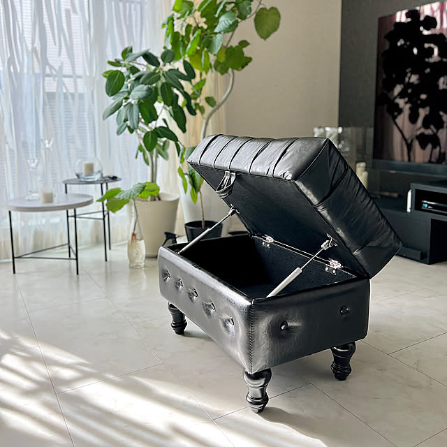 Lounge,ウンベラータ,収納スツール,リビング,ベンガルゴム kazehaの部屋