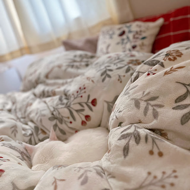 Bedroom,掛け布団カバー,Nウォーム,ふかふかで気持ちいい,ホワイトインテリア,ナチュラルインテリア,グリーンのある暮らし,すっきり暮らしたい,いつもいいね♡コメありがとうございます♡,猫と暮らす,のちほどゆっくりお邪魔します☆,ニトリ Miyu_の部屋