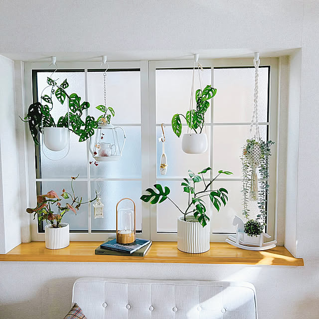 On Walls,after,Before,ハンギングプランター,ハンギンググリーン,観葉植物のある暮らし,観葉植物,グリーンのある暮らし,DIY,格子窓DIY,窓枠リメイク,窓枠,窓枠DIY,季節を楽しむ暮らし,まだ手直し必要 sunabaの部屋