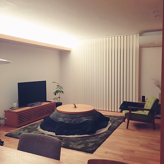 Overview,グリーンのラグ,こたつ,無垢の床,シンプルライフ,シンプル,無印良品,観葉植物,ミニマリスト,宮崎椅子製作所 yu3koの部屋