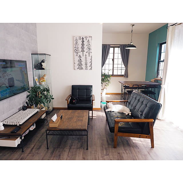 Overview,壁掛けテレビ,コレクションケース,アクセントクロス グリーン,アクセントクロス ブルー,コンクリート風壁紙,北欧,おうちカフェ,北欧インテリア,中古住宅,猫グッズ,猫好き,マリメッコ クーシコッサ,マリメッコ,グリーンのある暮らし,格子窓,クッションフロア yuiiiの部屋