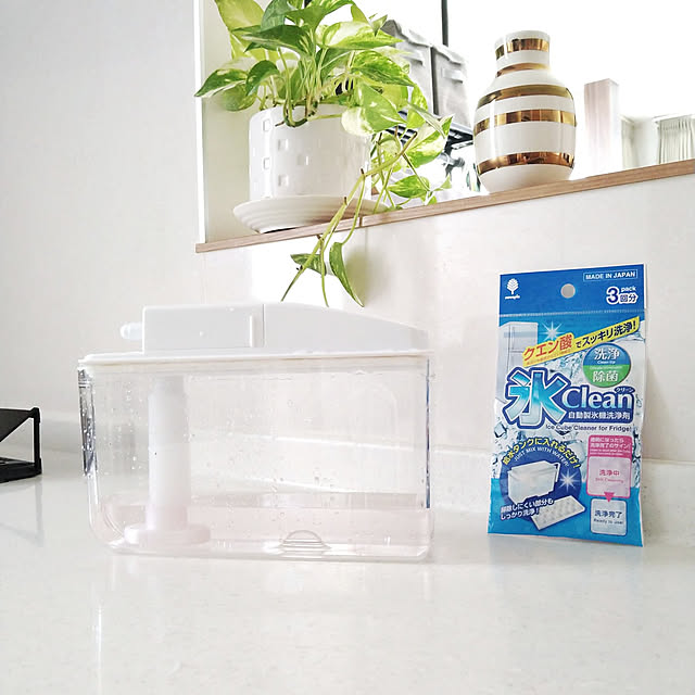 Kitchen,大掃除,100均,Panasonic,Panasonic冷蔵庫,100均アイテム,自動製氷機洗浄剤,ダイソー,掃除 yukoの部屋