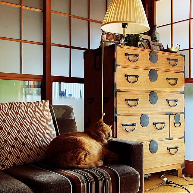 茶トラ,古い家,古民家暮らし,古い家に暮らす,猫との暮らし,いいね＆フォロー恐縮です,ご訪問ありがとうございます,日本家屋,ソファ,古民家,障子,和タンス,桐のタンス,Lounge choroの部屋