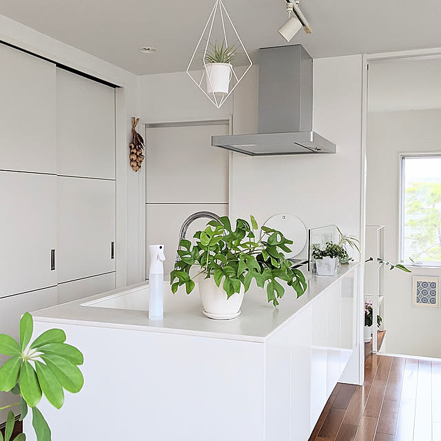 Kitchen,植物のある暮らし,グリーンのある暮らし,キッチンカウンター,パナソニックキッチン,ハンギングプランター,ハンギンググリーン,ハンギングプランツ,エアプランツ,エアリーミストスプレー,ヒメモンステラ,モンステラ,ミストスプレー,ホワイトインテリア gooskaの部屋