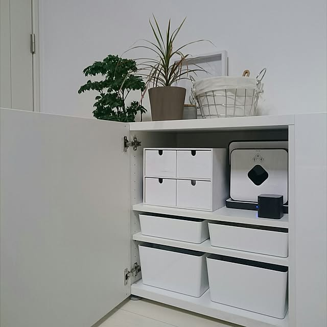 My Shelf,シンプルライフ,シンプルインテリア,シンプリスト,IG→uco122,シンプルな暮らし,シンプル,植物のある暮らし,整理収納,収納,整理収納部,BRAAVA,ブラーバ,IKEA Ucoの部屋