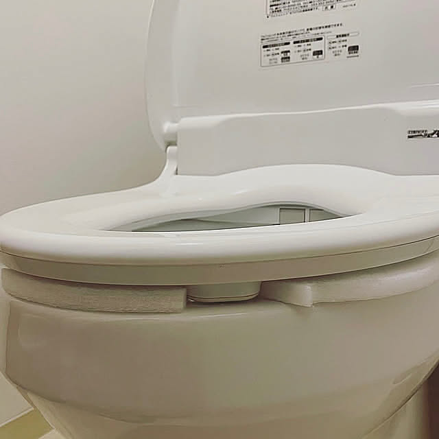 Bathroom,日本製,暮らしの道具,マンション暮らし,おしっこ吸う〜パット,海南市,海南ブランド,株式会社サンコー,夫婦+猫1匹,海南の家庭用品,2023.10.22 hemukoの部屋
