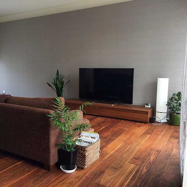 Lounge,テレビボード,積水ハウス,ボーコンセプト,観葉植物 kamiwakaの部屋