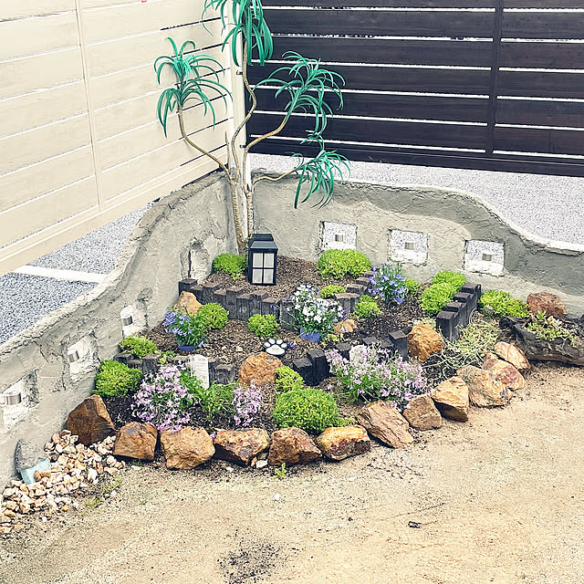 Overview,ダイソー,DIY,多肉植物,DIY女子,手作りの庭,記録用,モルタル壁,部屋全体ではありません,多肉初心者 cat.mの部屋